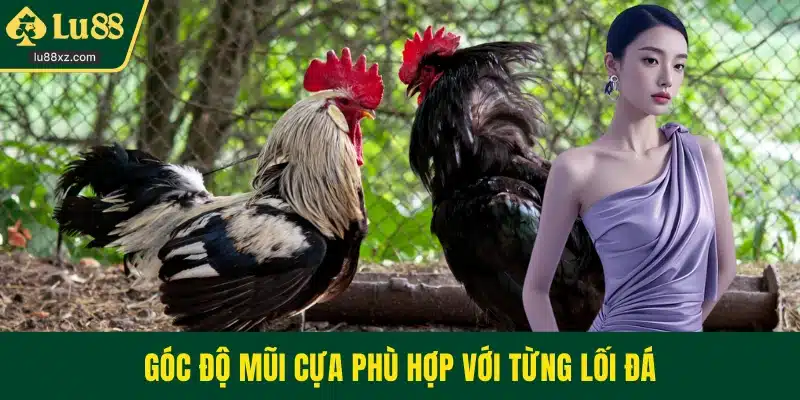 Góc độ mũi cựa phù hợp với từng lối đá