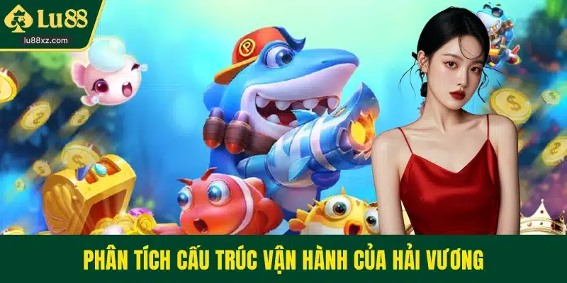 Phân tích cấu trúc vận hành của Hải Vương
